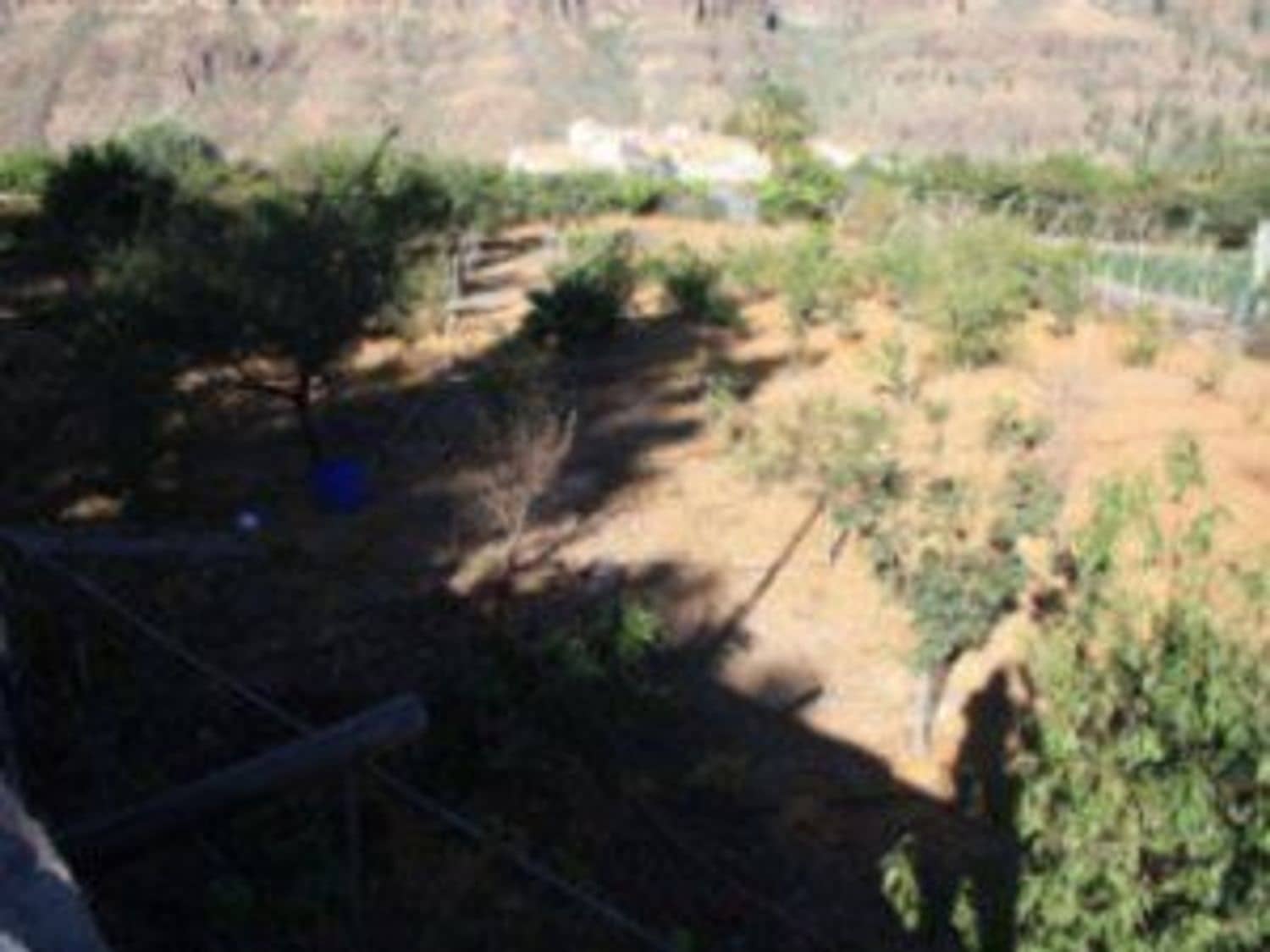 3 soveværelse Finca/Landehus til salg i San Bartolome de Tirajana - € 320.000 (Ref: 8505372)