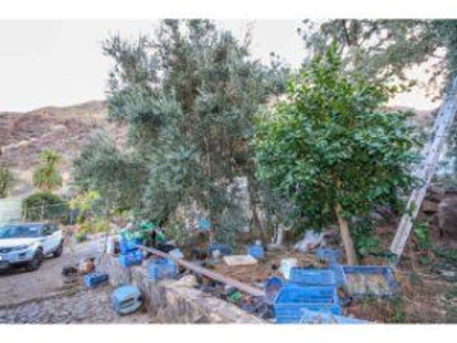 3 soveværelse Finca/Landehus til salg i San Bartolome de Tirajana - € 320.000 (Ref: 8505372)