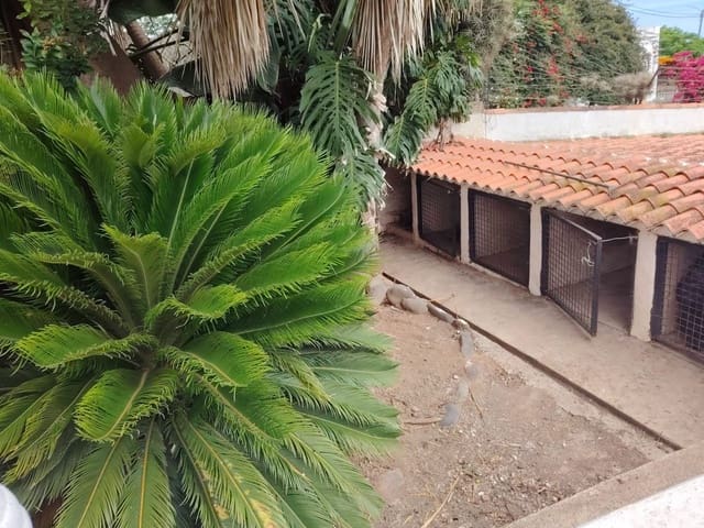 4 sovrum Finca/Hus på landet till salu i Arucas med garage - 575 000 € (Ref: 9151641)