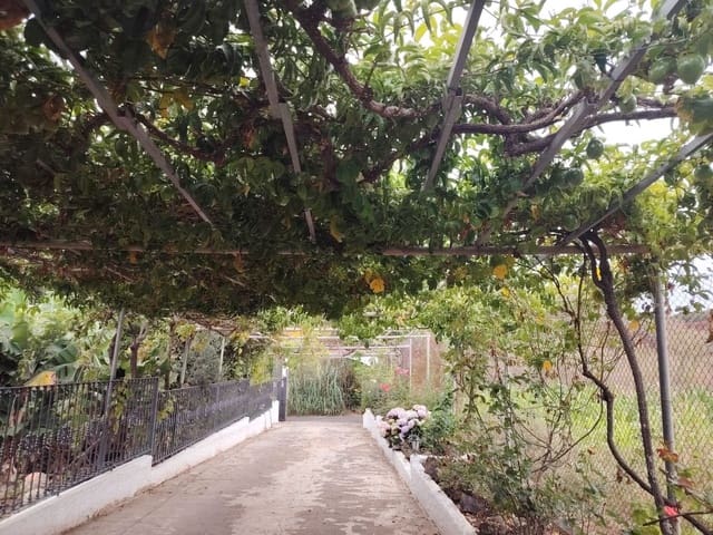 4 sovrum Finca/Hus på landet till salu i Arucas med garage - 575 000 € (Ref: 9151641)