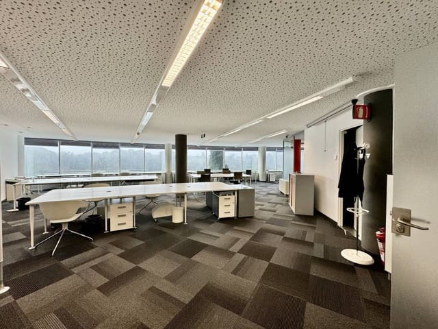 Office for rent in Palma de Mallorca - € 1,700 (Ref: 7429877)