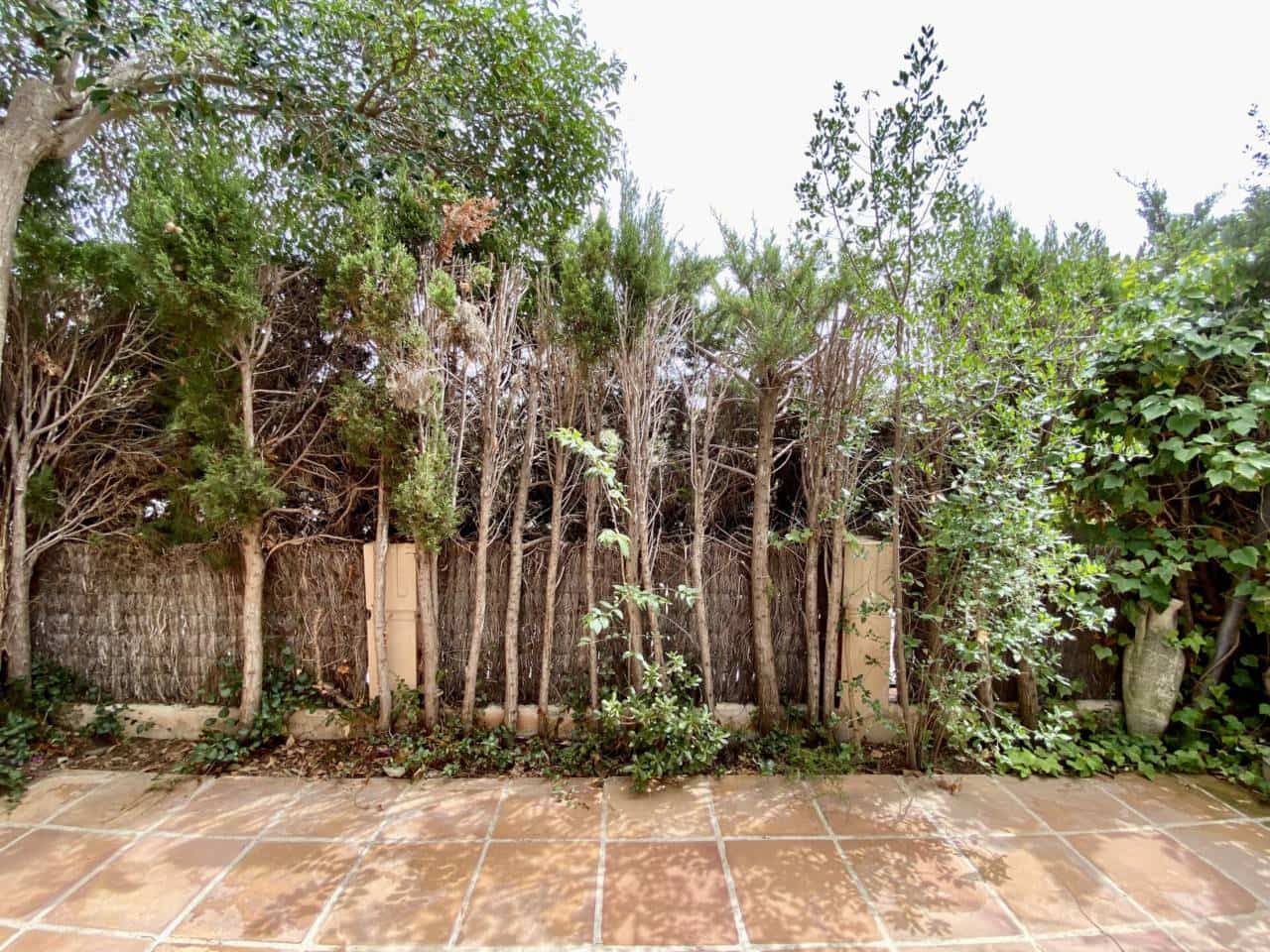 3 quarto Casa em Banda para arrendar em Calvia com piscina garagem - 2 950 € (Ref: 8315801)