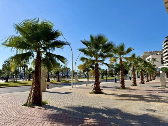 Erhverv til salg i Palma de Mallorca - € 235.000 (Ref: 9284868)