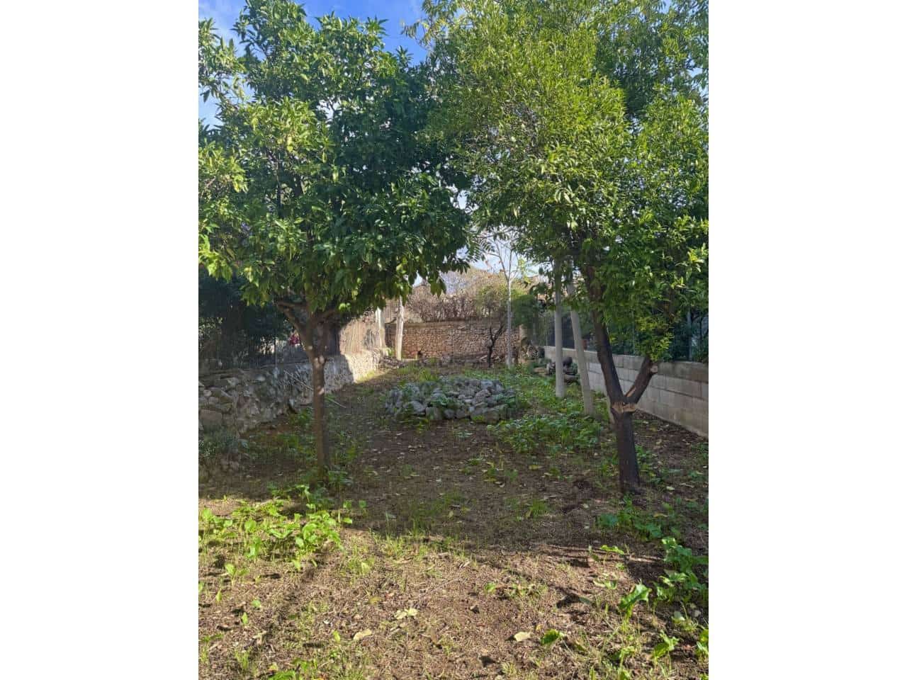 2 sovrum Hus att hyra i Alaro - 2 000 € (Ref: 9378822)