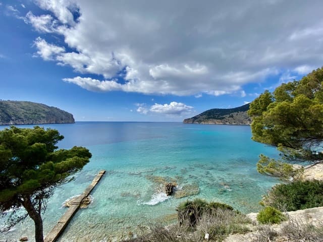 2 makuuhuone Rivitalo vuokrattavana paikassa Es Camp De Mar / El Camp De Mar, Andratx mukana uima-altaan - 2 200 € (Ref: 9533049)