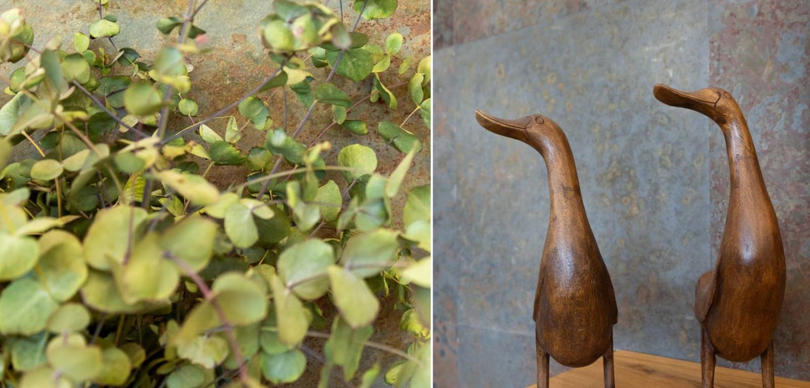 4 makuuhuone Huvila myytävänä paikassa San Vicente / Sant Vicent del Raspeig mukana uima-altaan 
autotalli - 939 000 € (Ref: 7430691)