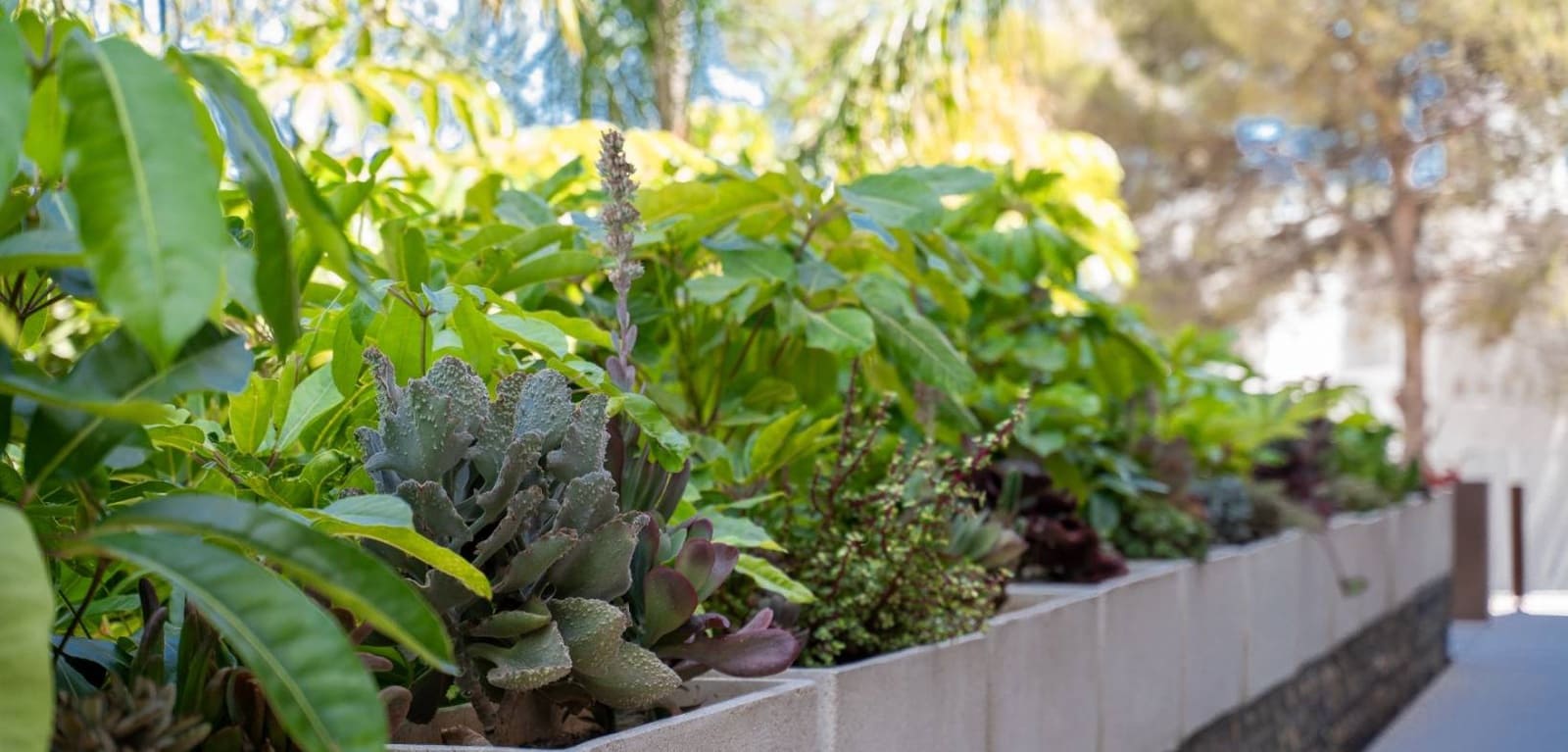 4 Zimmer Villa zu verkaufen in Benidorm mit Pool Garage - 2.825.000 € (Ref: 8666086)