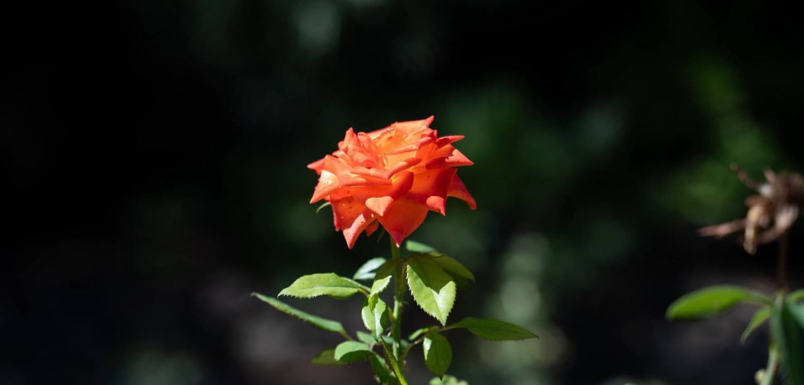 7 quarto Moradia para venda em Alcoy / Alcoi com piscina garagem - 2 120 000 € (Ref: 8666099)