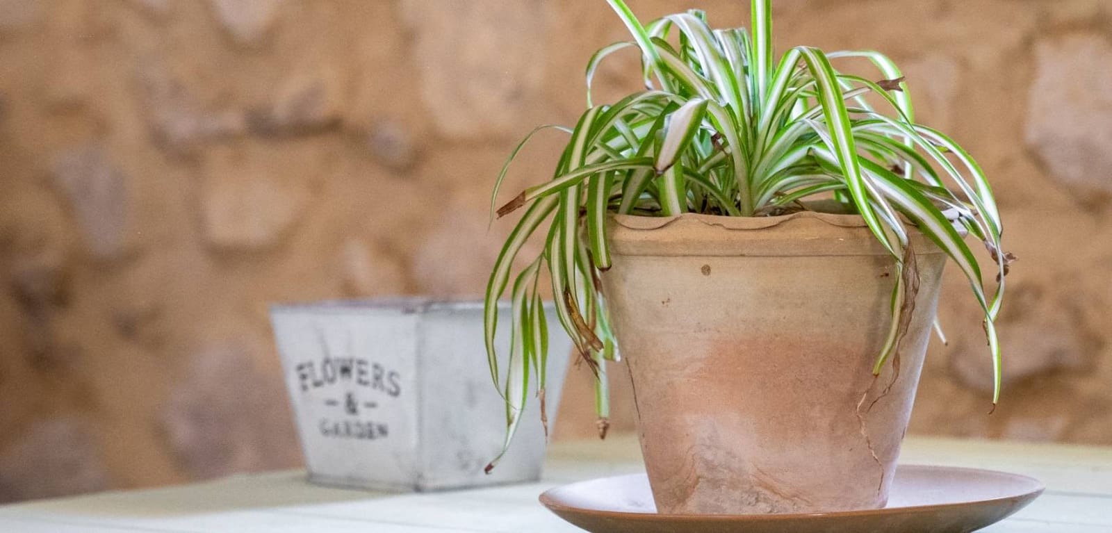 12 soveværelse Finca/Landehus til salg i Castalla med swimmingpool - € 799.000 (Ref: 8708259)