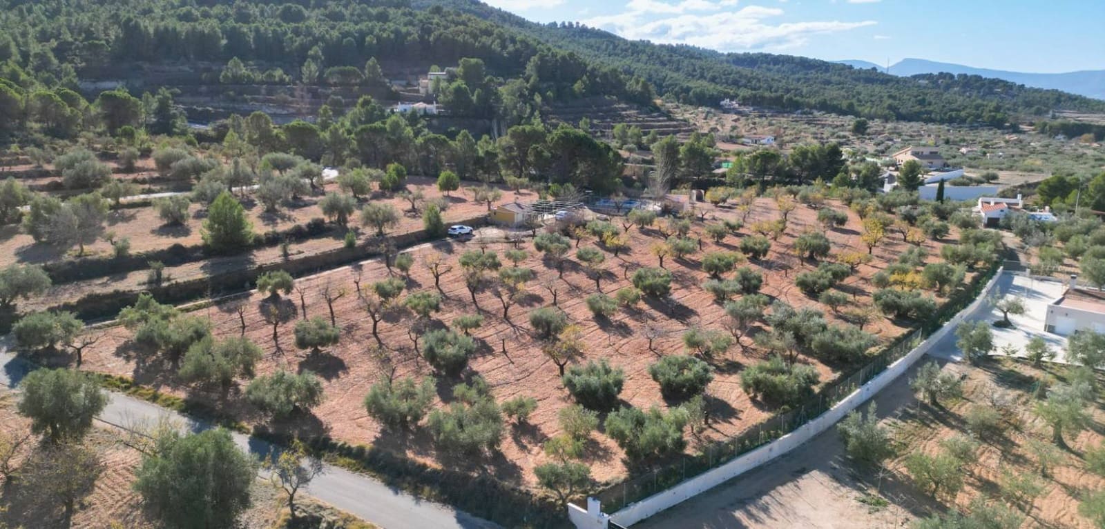 Byggegrund til salg i Ibi - € 159.000 (Ref: 8713009)