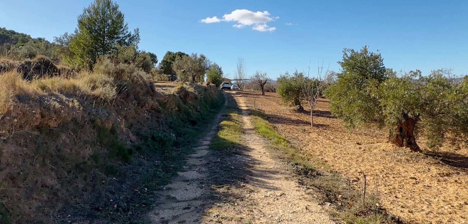 Byggegrund til salg i Ibi - € 159.000 (Ref: 8713009)