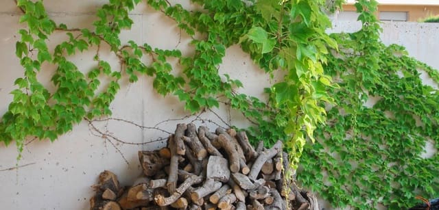 3 soveværelse Villa til salg i San Vicente / Sant Vicent del Raspeig med swimmingpool garage - € 1.250.000 (Ref: 9172354)