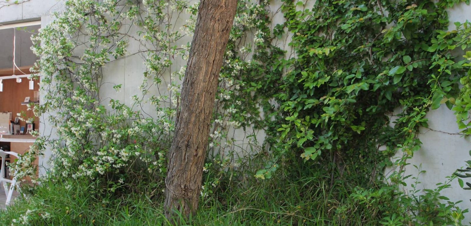 3 soverom Villa til salgs i San Vicente / Sant Vicent del Raspeig med svømmebasseng garasje - € 1 250 000 (Ref: 9172354)