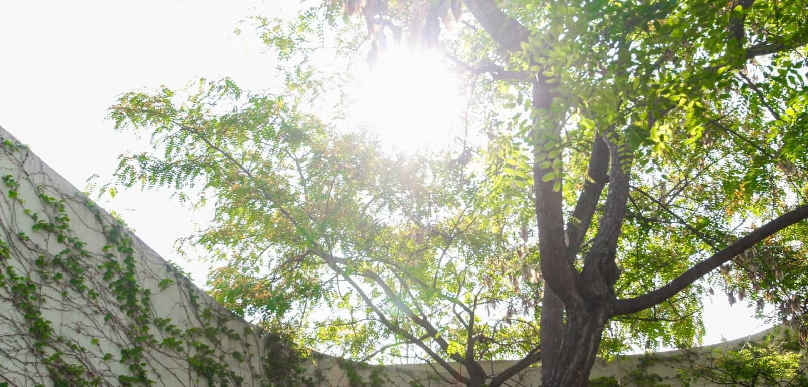 3 soverom Villa til salgs i San Vicente / Sant Vicent del Raspeig med svømmebasseng garasje - € 1 250 000 (Ref: 9172354)