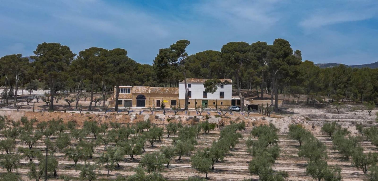 12 slaapkamer Finca/Landhuis te koop in Castalla met zwembad - € 799.000 (Ref: 9362926)