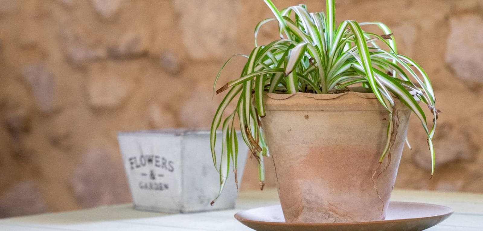 12 sypialnia Finka/Dom wiejski na sprzedaż w Castalla z basenem - 799 000 € (Ref: 9379982)