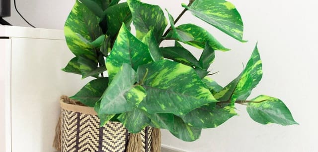 3 camera da letto Appartamento da affittare in Playa de San Juan, Alicante città con piscina garage - 1.900 € (Rif: 9447332)