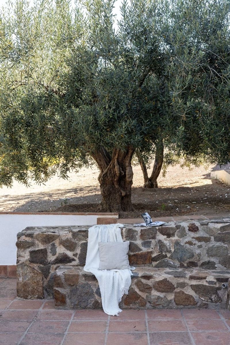 9 soverom Finca/Herregård til salgs i Malaga by - € 2 100 000 (Ref: 9353367)