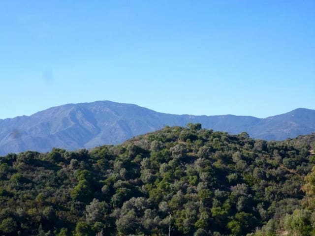 Tomt till salu i Estepona - 695 000 € (Ref: 9500114)