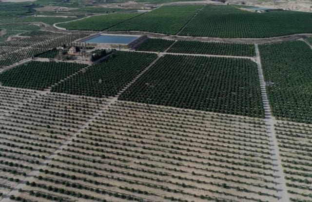 12 soveværelse Finca/Landehus til salg i Orihuela - € 16.000.000 (Ref: 8149982)