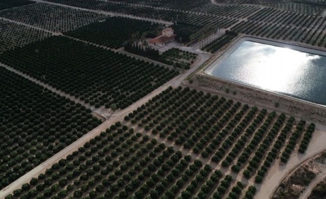 12 soveværelse Finca/Landehus til salg i Orihuela - € 16.000.000 (Ref: 8149982)