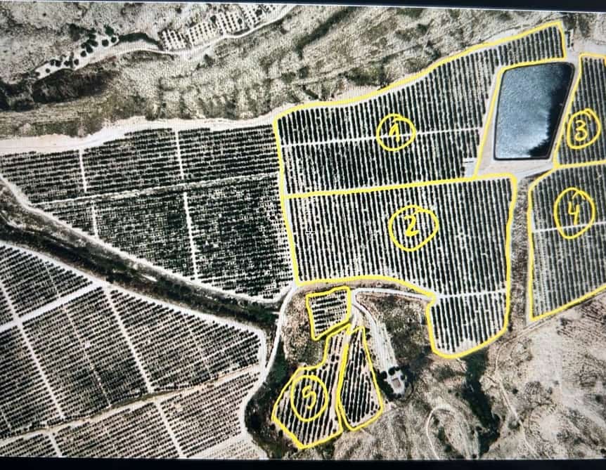 12 bedroom Finca/Country House for sale in Orihuela - € 16,000,000 (Ref: 8149982)