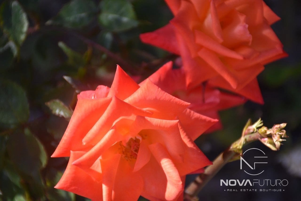 4 bedroom Villa for sale in Vilaflor - € 535,000 (Ref: 6523319)