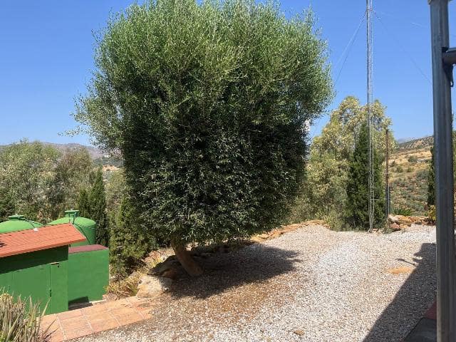 Finca/Herregård til leie i Riogordo - € 950 (Ref: 10054428)