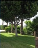 Villa da affittare in Nerja con piscina garage - 2.500 € (Rif: 10054476)