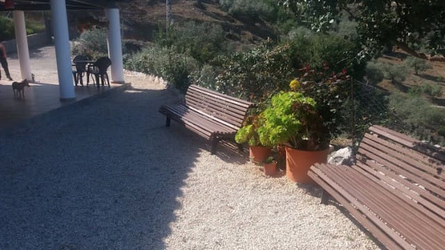 Finca/Maison de Campagne à louer à Colmenar - 1 600 € (Ref: 9550428)