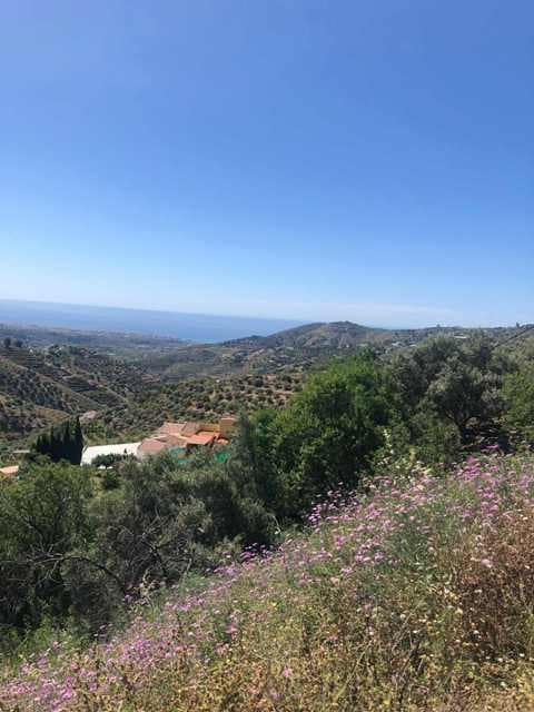 Finca/Country House for rent in Torrox - € 1,200 (Ref: 9550429)