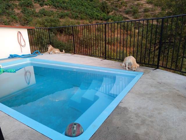 Finca/Casa di Campagna da affittare in Torrox - 1.200 € (Rif: 9550429)