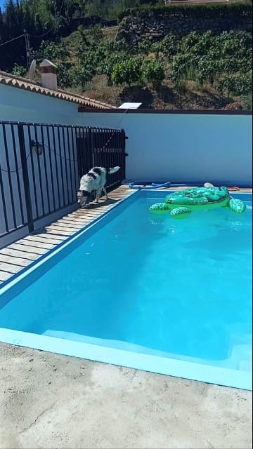 Finca/Country House for rent in Torrox - € 1,200 (Ref: 9550429)