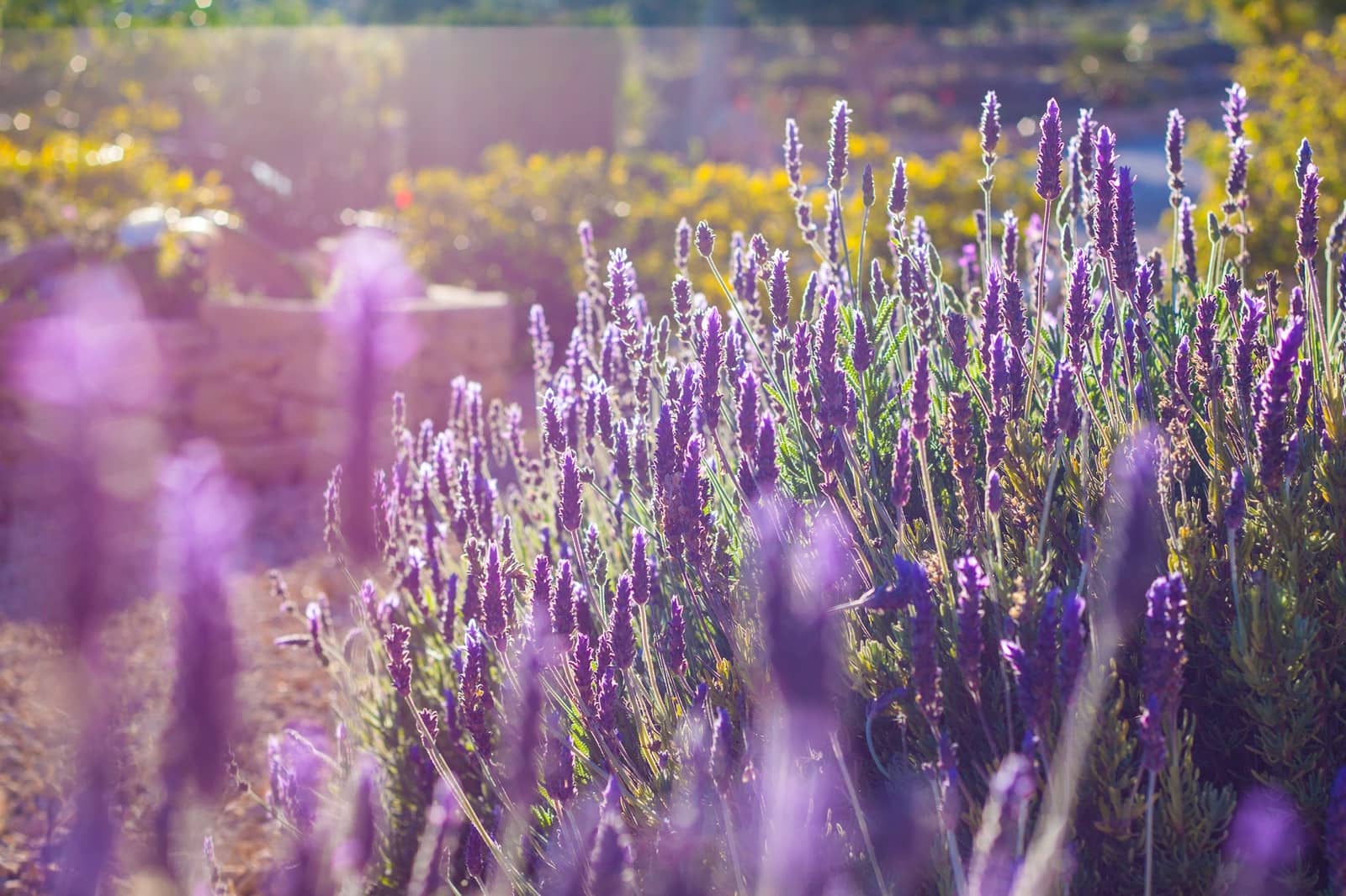 8 soverom Villa til salgs i Benissa med svømmebasseng garasje - € 1 250 000 (Ref: 7164654)