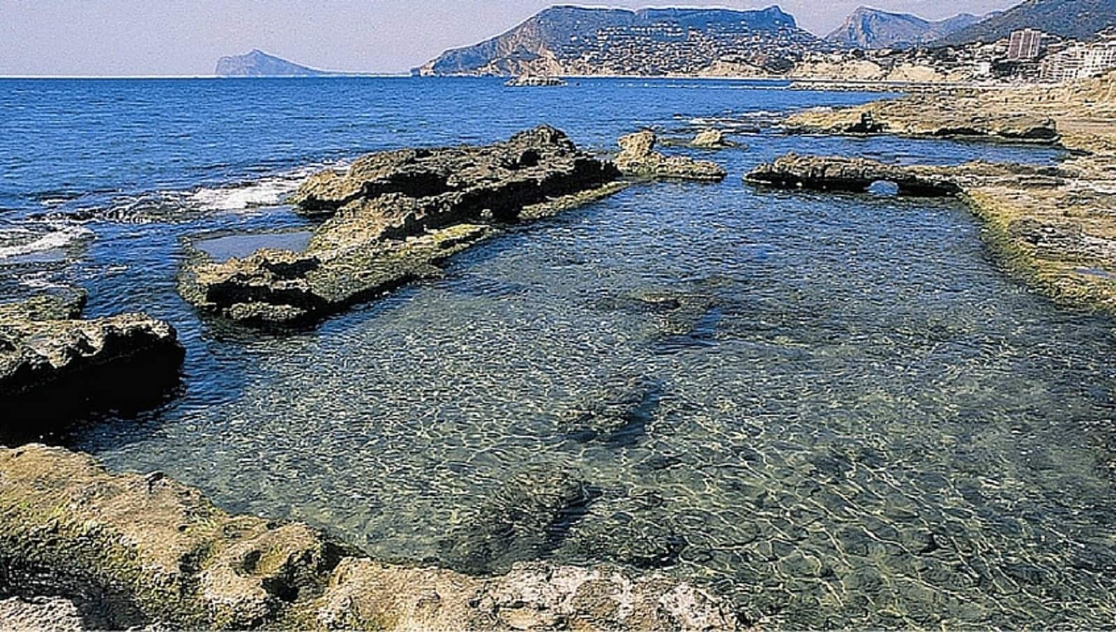 3 soveværelse Lejlighed til salg i Calpe / Calp med swimmingpool - € 705.000 (Ref: 8501009)