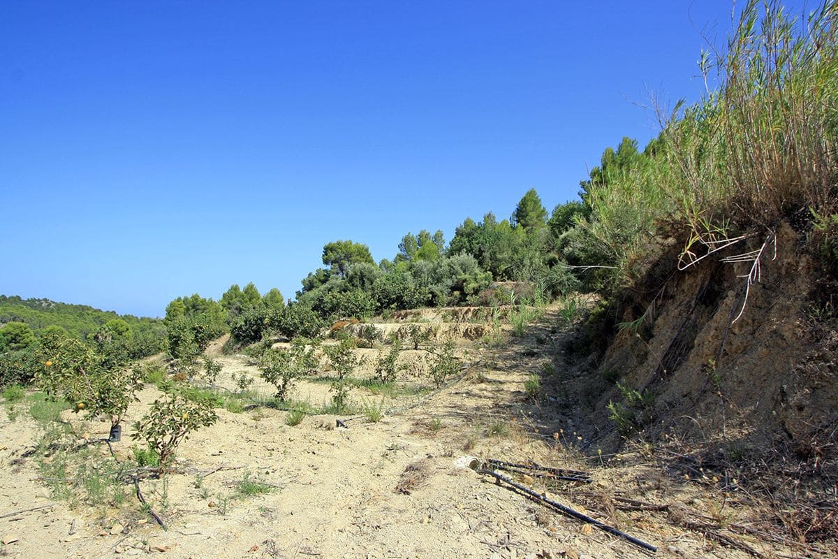 Bouwgrond te koop in Beniarbeig - € 165.000 (Ref: 8661041)