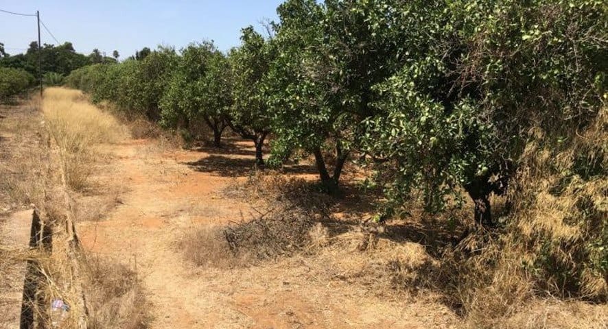 Działka budowlana na sprzedaż w Denia - 215 000 € (Ref: 8661106)