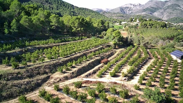 Area Edificabile in vendita in Orba - 200.000 € (Rif: 8661147)