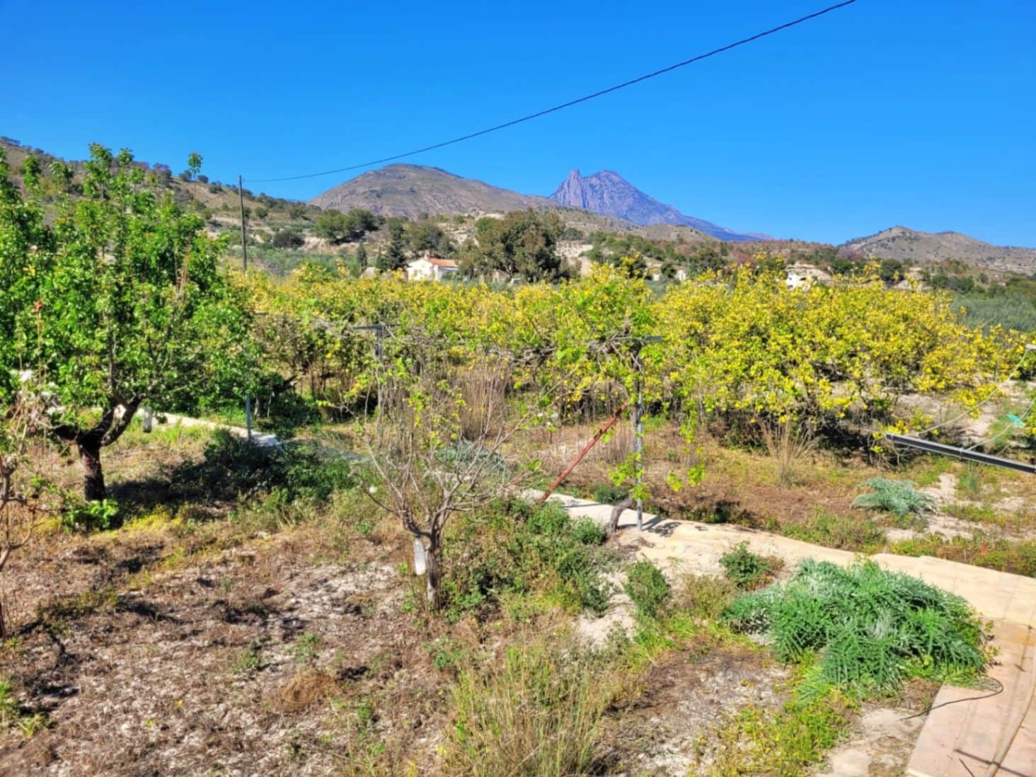 3 chambre Finca/Maison de Campagne à vendre à La Villajoyosa / Vila Joiosa avec piscine garage - 320 000 € (Ref: 8971685)