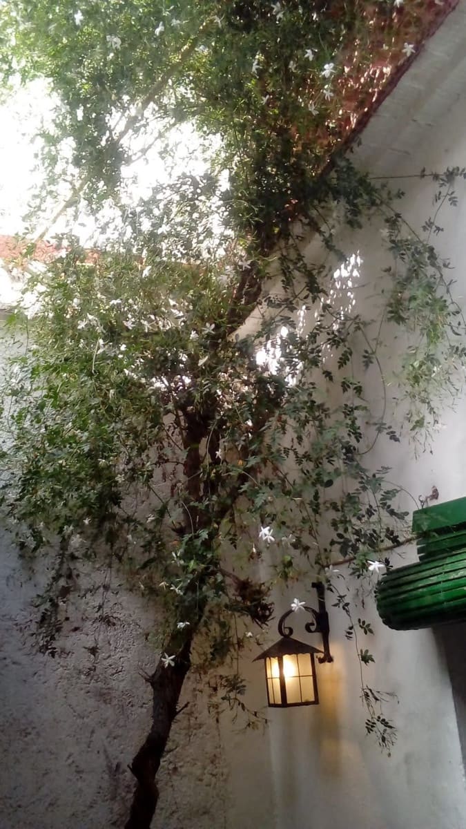 4 soveværelse Byhus til salg i Benidoleig - € 159.000 (Ref: 8989987)