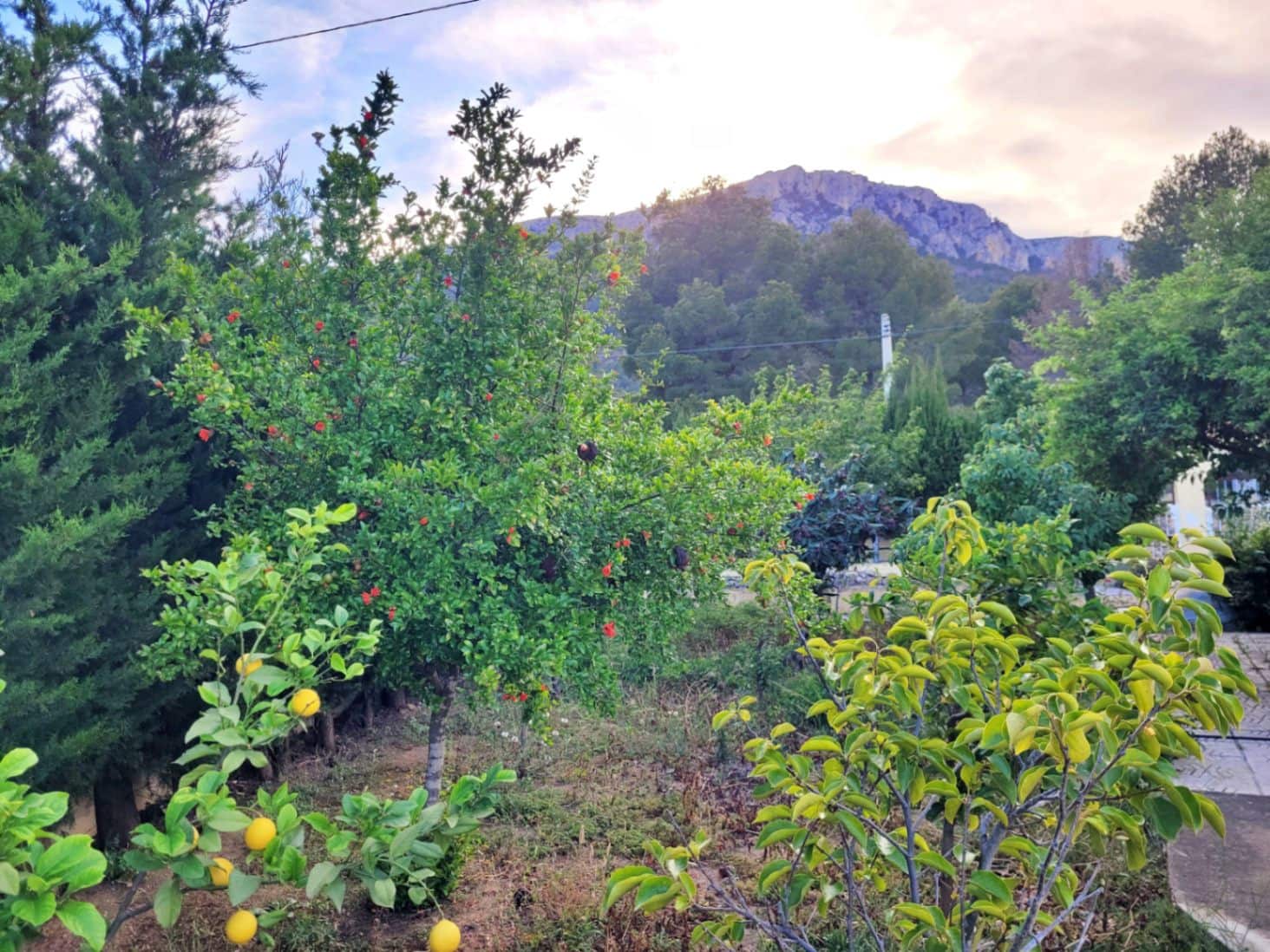 4 bedroom Villa for sale in Calpe / Calp with pool garage - € 675,000 (Ref: 9016473)