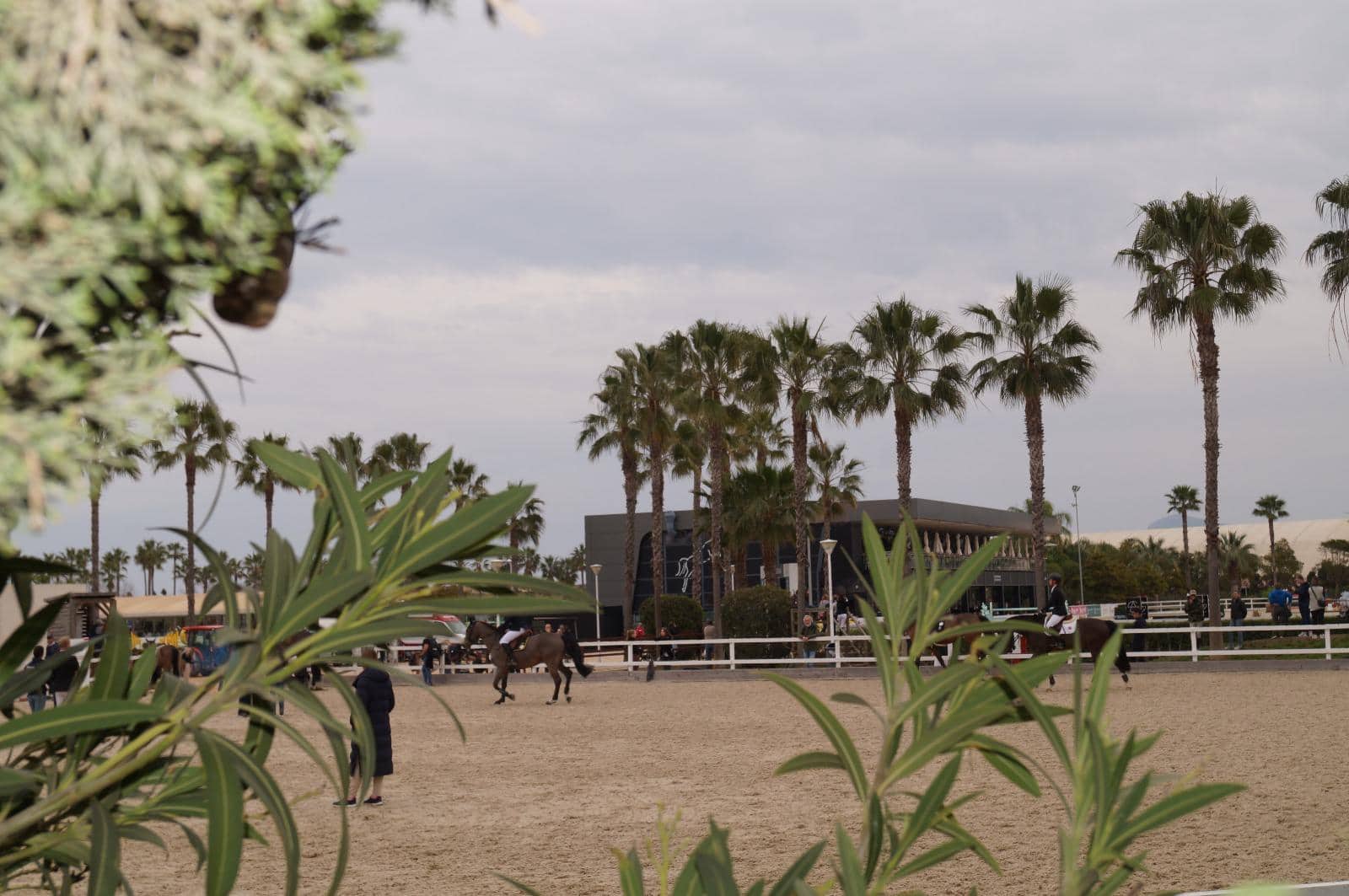 2 soveværelse Lejlighed til salg i Oliva med swimmingpool - € 205.000 (Ref: 9041278)