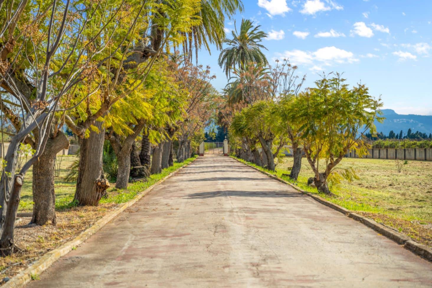 9 Zimmer Villa zu verkaufen in Denia mit Pool Garage - 4.100.000 € (Ref: 9123619)