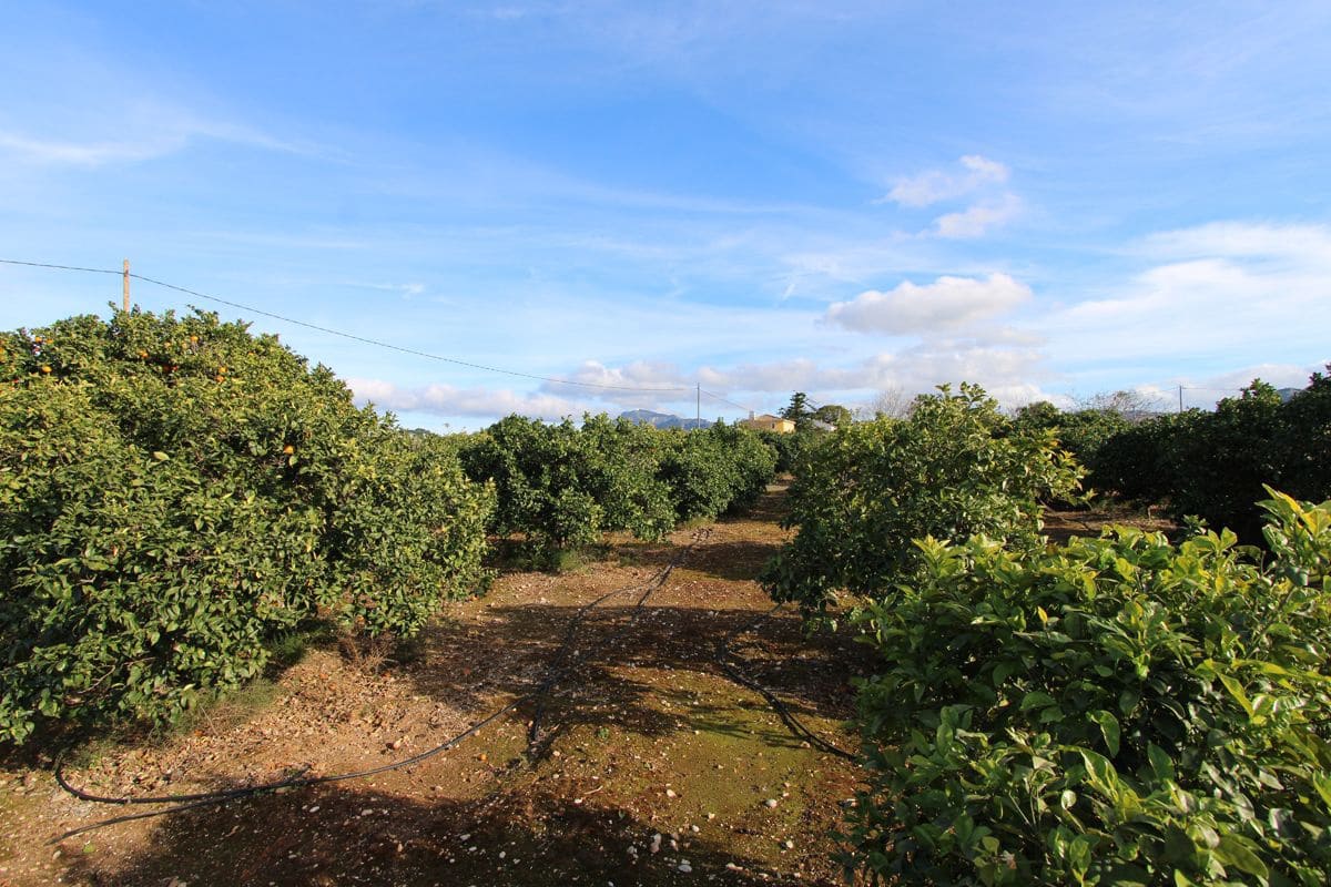 4 sypialnia Willa na sprzedaż w Ondara z garażem - 525 000 € (Ref: 9148477)