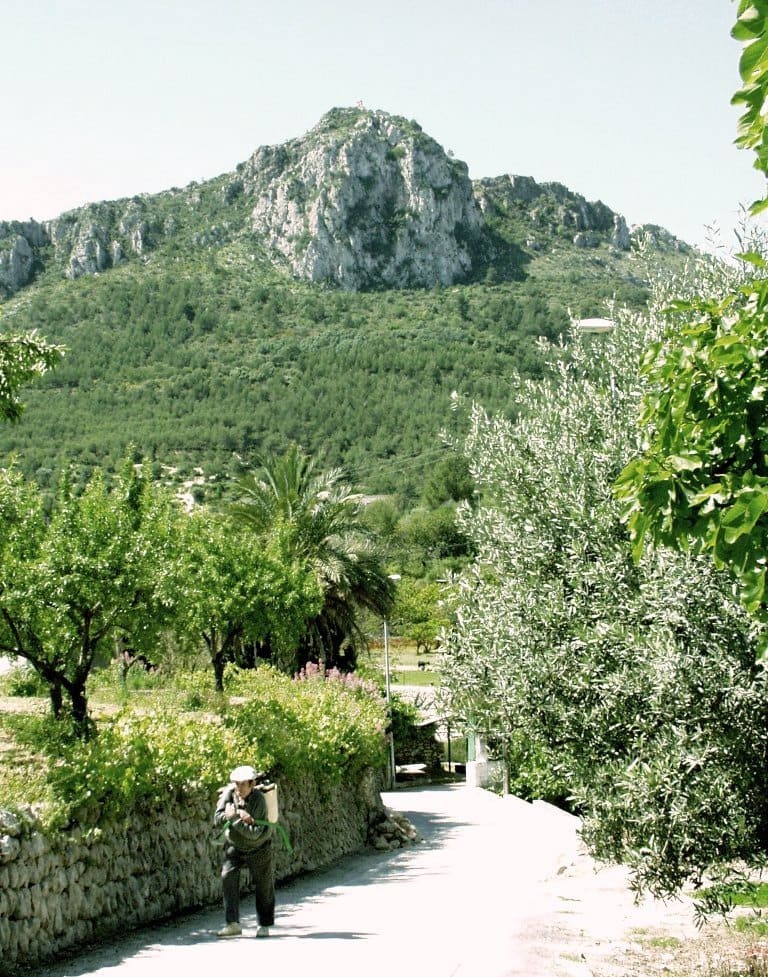 Bouwgrond te koop in Orba - € 212.100 (Ref: 9148478)