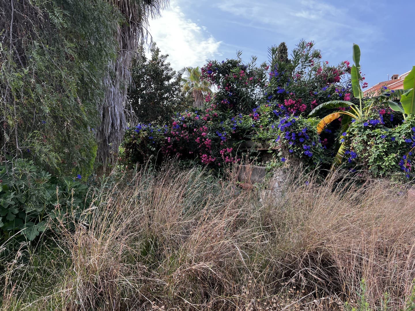 5 makuuhuone Huvila myytävänä paikassa Benissa mukana uima-altaan - 685 000 € (Ref: 9256507)