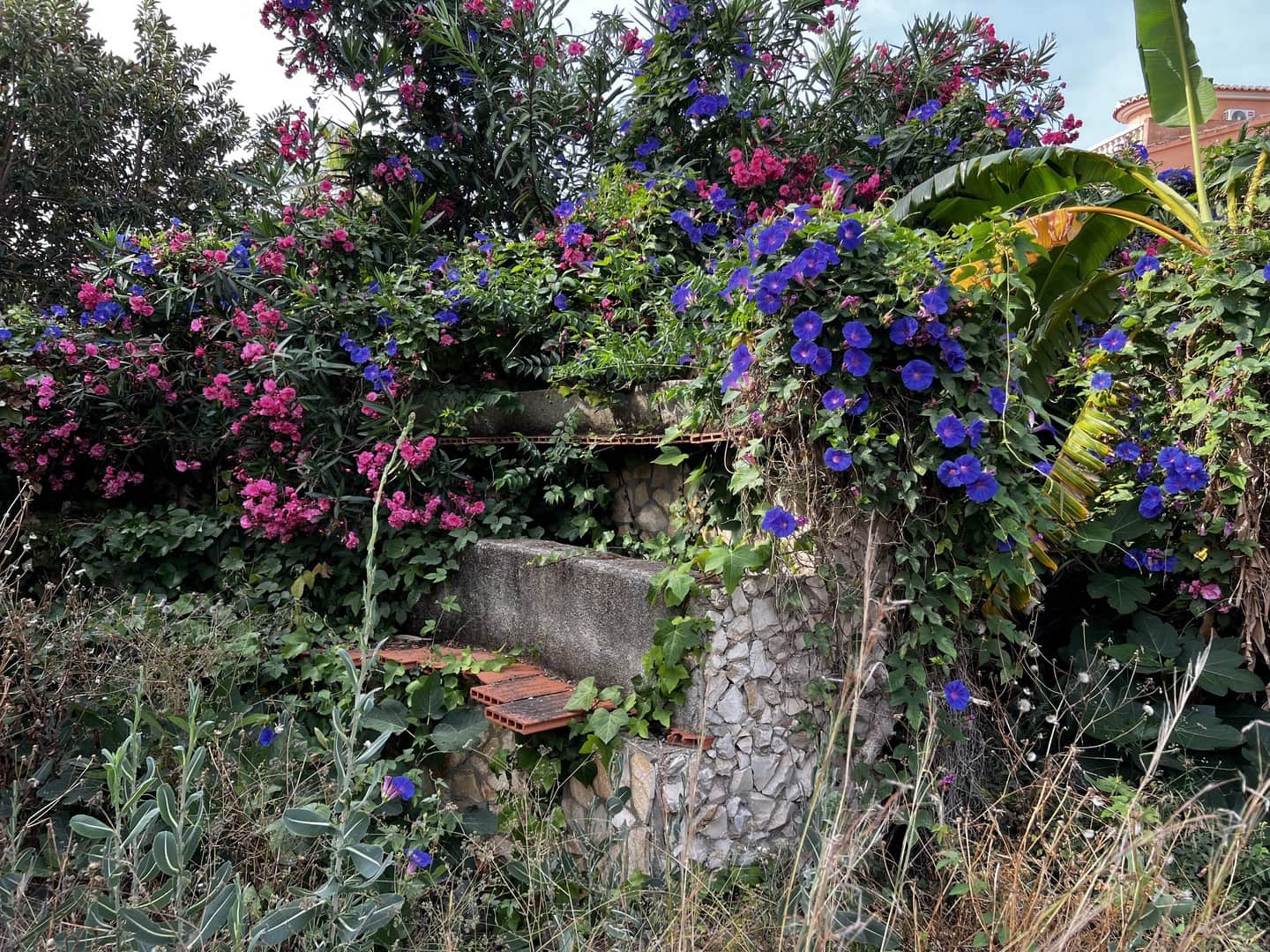 5 makuuhuone Huvila myytävänä paikassa Benissa mukana uima-altaan - 685 000 € (Ref: 9256507)