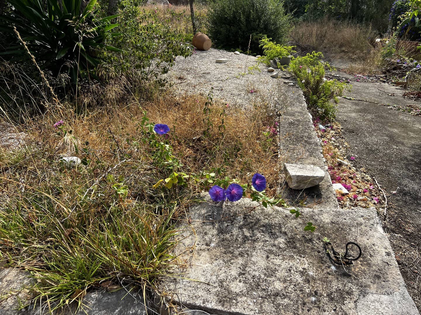 5 makuuhuone Huvila myytävänä paikassa Benissa mukana uima-altaan - 685 000 € (Ref: 9256507)