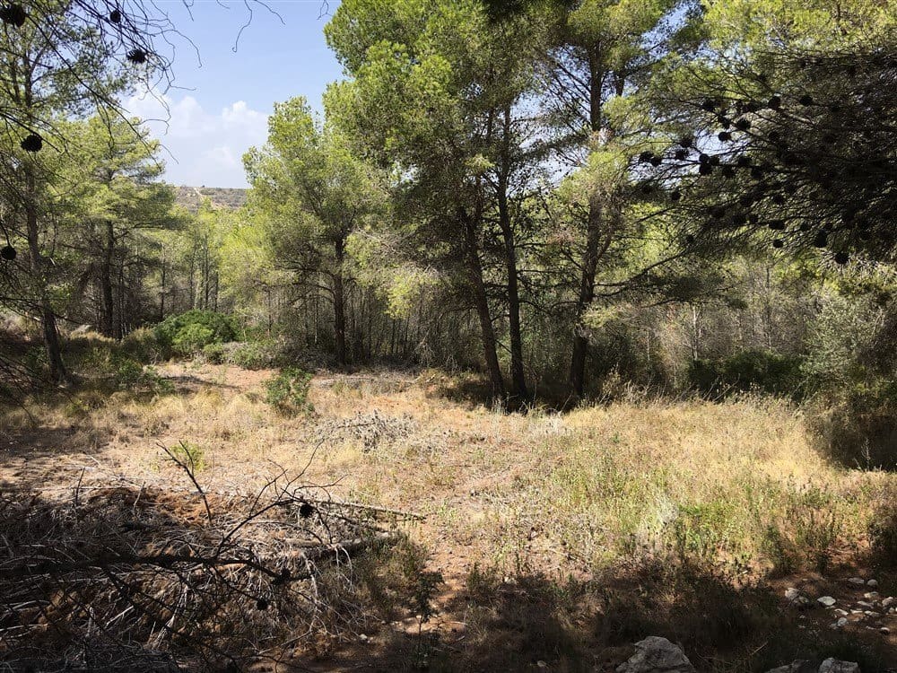 Bouwgrond te koop in Moraira - € 250.000 (Ref: 9278307)