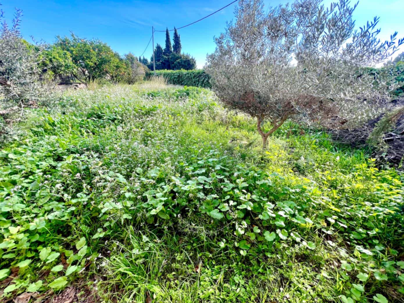 4 sypialnia Willa na sprzedaż w Arenal z garażem - 519 000 € (Ref: 9301711)